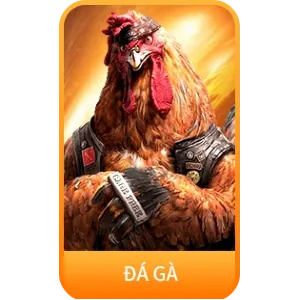 Đá gà cựa sắt