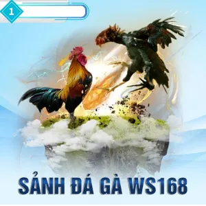 Đá Gà Trực Tuyến